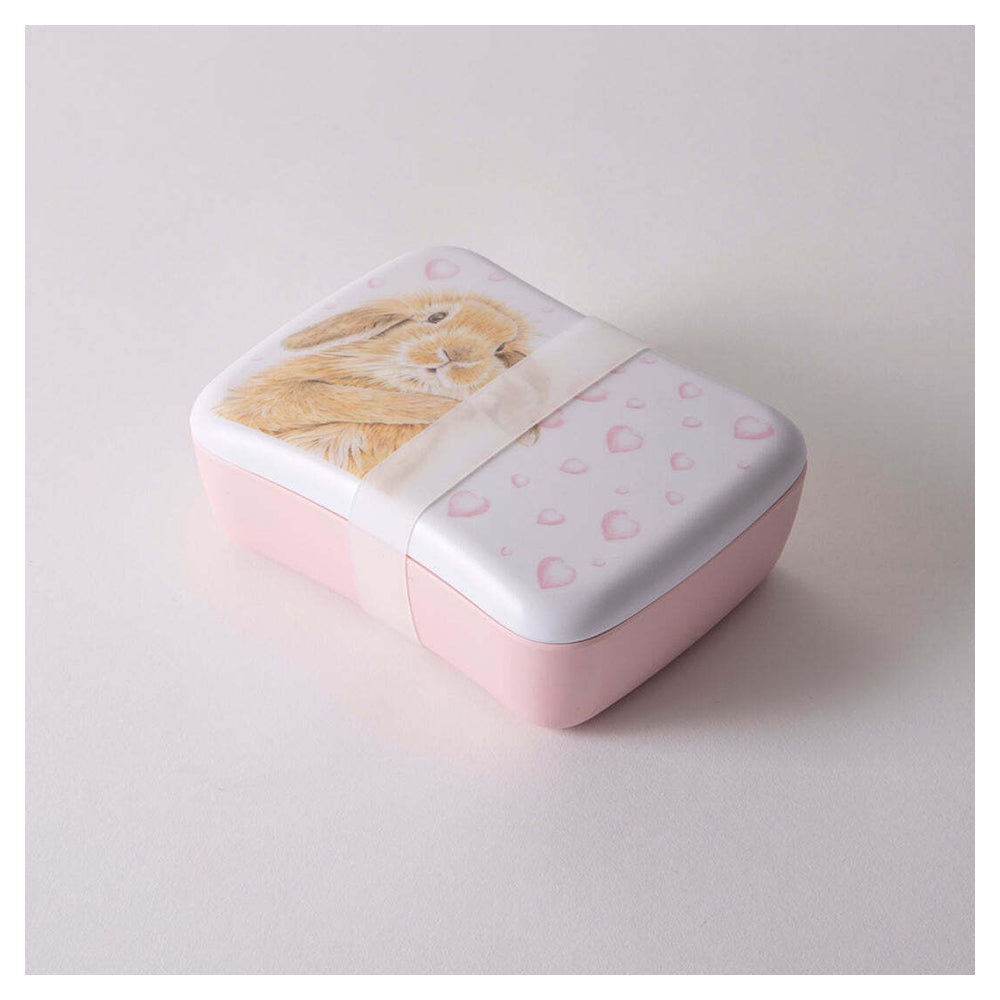 520907-ashdene-bunny-hearts-lunch-box