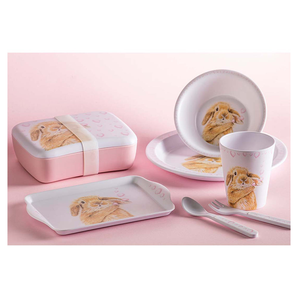 520907-ashdene-bunny-hearts-lunch-box