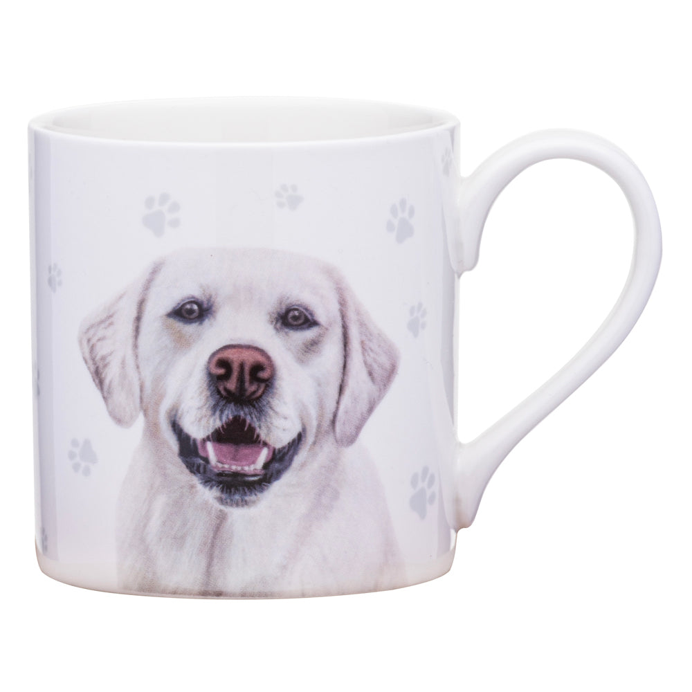 521580-ashdene-paws-all-380ml-mug-coffee-tea-cup-labrador