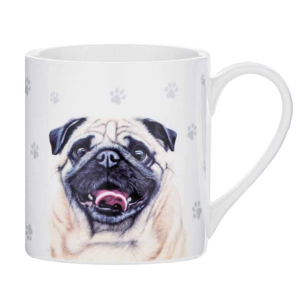 521582-ashdene-paws-all-380ml-mug-coffee-tea-cup-pug
