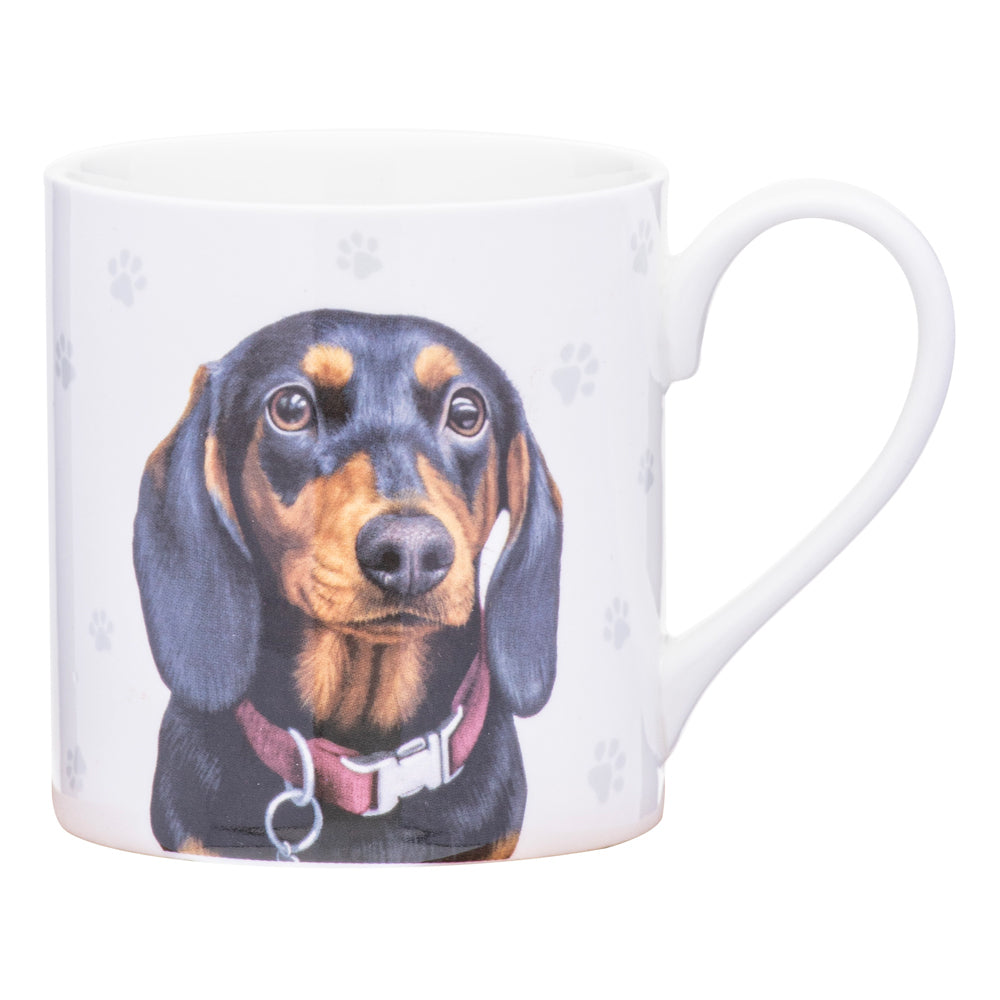 521583-ashdene-paws-all-380ml-mug-coffee-tea-cup-dachshund