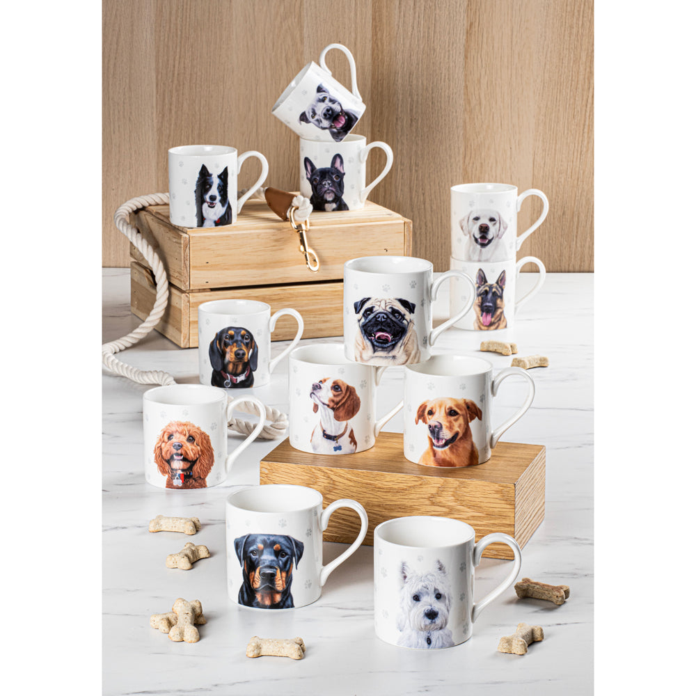 521588-ashdene-paws-all-380ml-mug-coffee-tea-cup-staffy-terrier