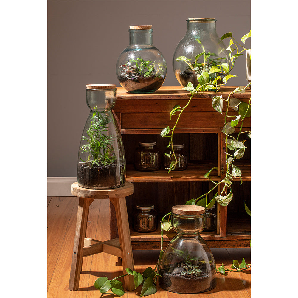 60097-ladelle-eco-recycled-34cm-glass-senna-terrarium-clear
