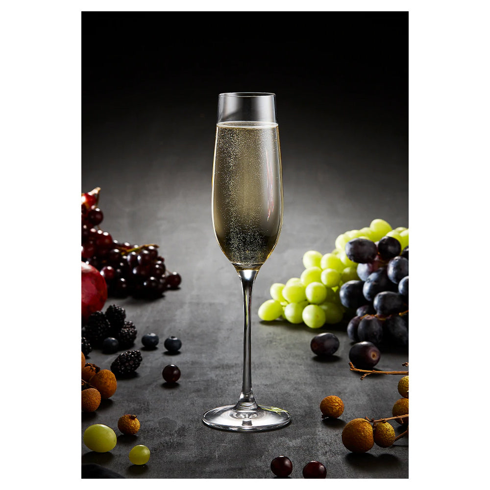 896634-4pc-tempa-quinn-champagne-glass