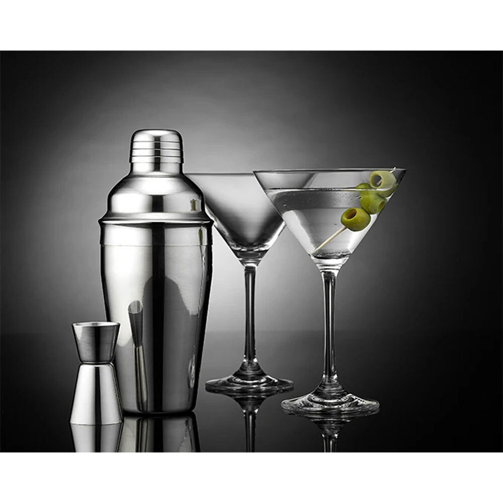 896926-4pc-tempa-aurora-silver-cocktail-set-w-shaker-jigger-martini-glasses