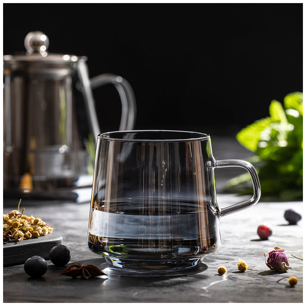 897246-2pc-tempa-oaklyn-charcoal-glass-mugs-450ml