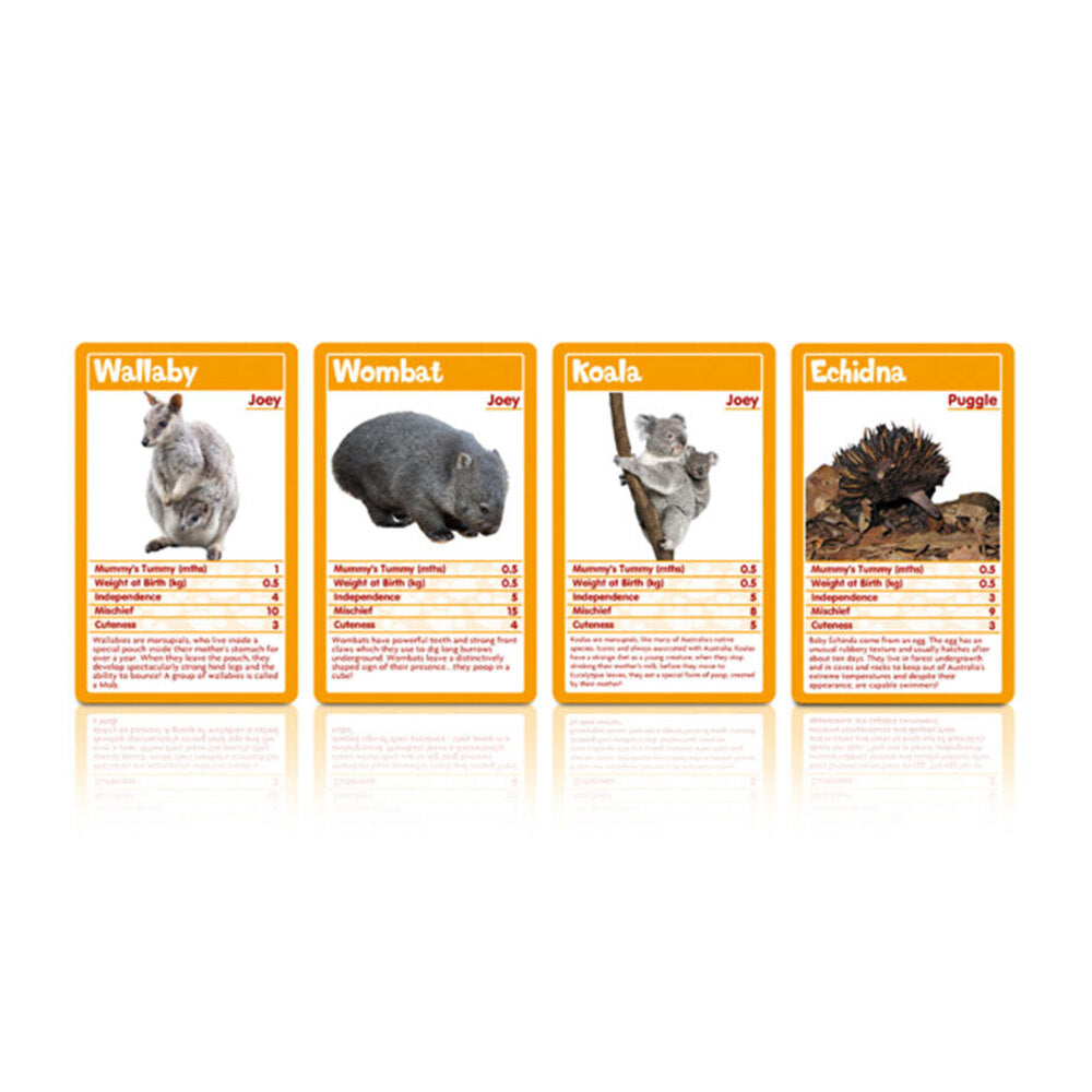 003364-top-trumps-puzzles-baby-animals