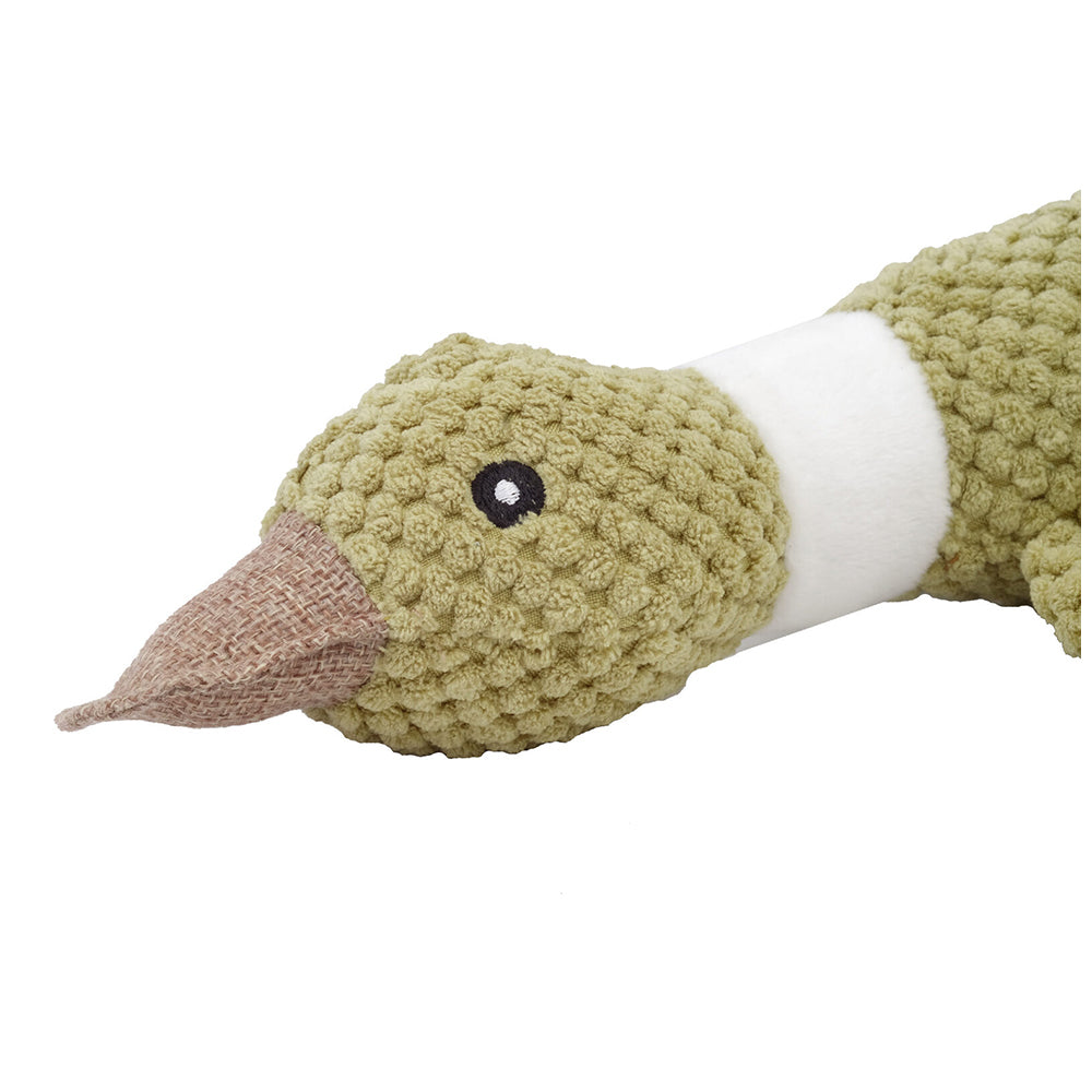10643199-m-pets-35cm-duck-eco-friendly-pet-dog-toy-green