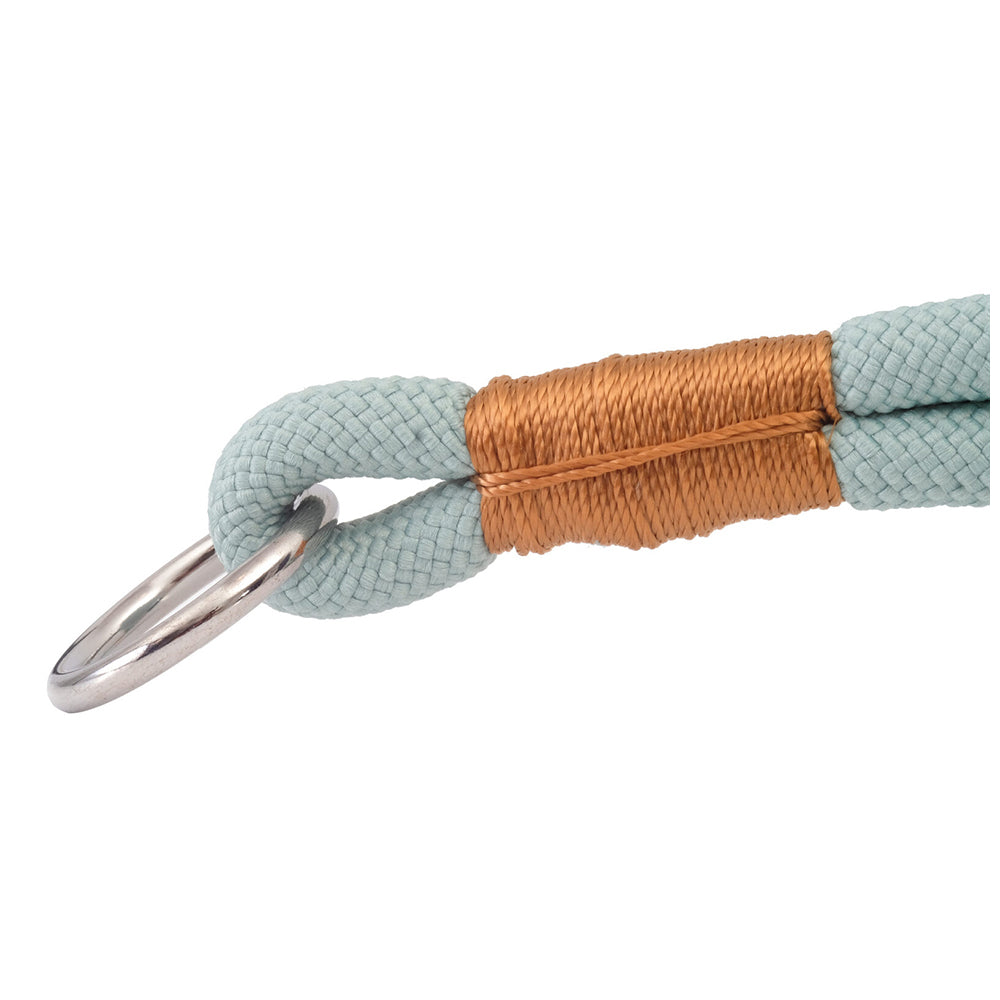 10823517-m-pets-45cm-medium-eco-friendly-pet-dog-neck-collar-blue