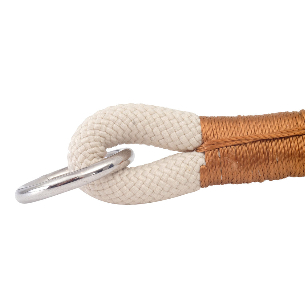 10823801-m-pets-45cm-medium-eco-friendly-pet-dog-neck-collar-white