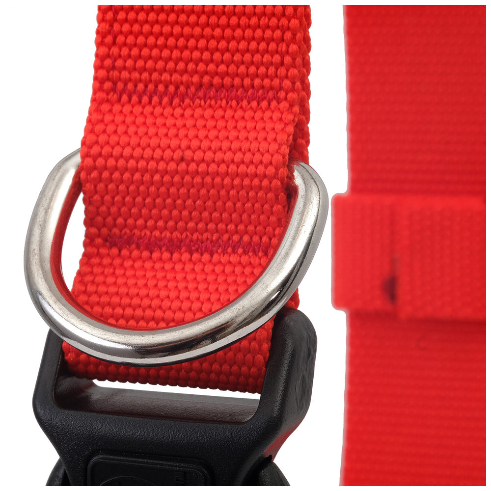 10827099-m-pets-x-large-jolly-eco-friendly-dog-66cm-collar-red