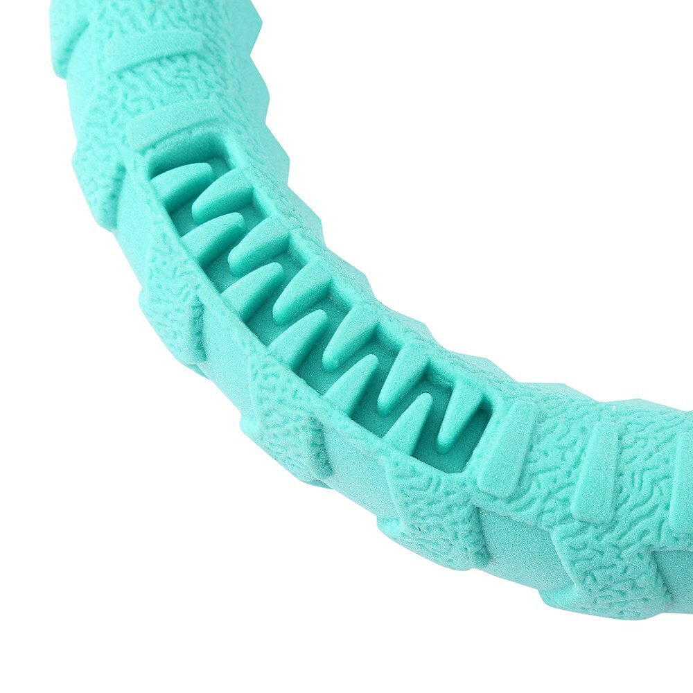 12038-paws-claws-fetch-n-play-24cm-tugger-ring-large-pet-dog-toy-aqua