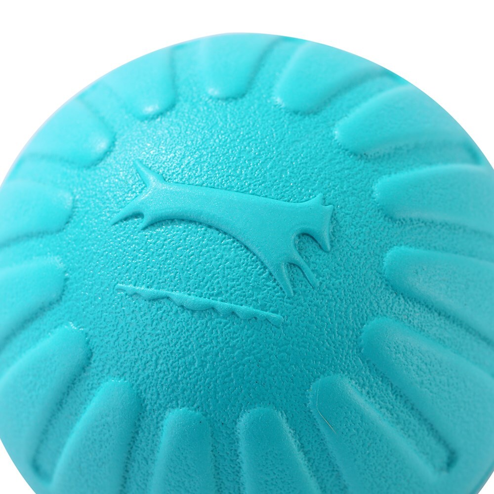 12083-paws-claws-9cm-fetch-n-play-ball-pet-dog-toy-aqua
