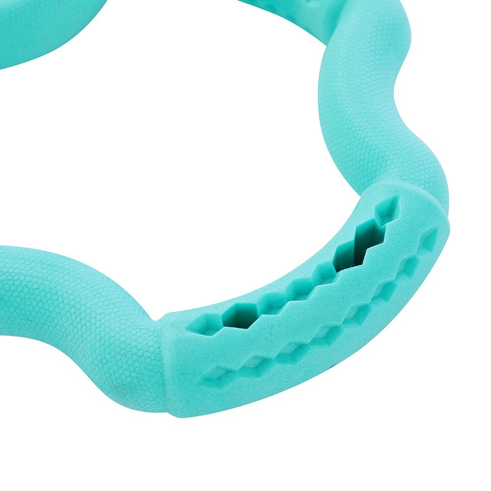19822-paws-claws-21x21x3-6cm-fetch-n-play-treat-ring-dog-pet-toy-assorted