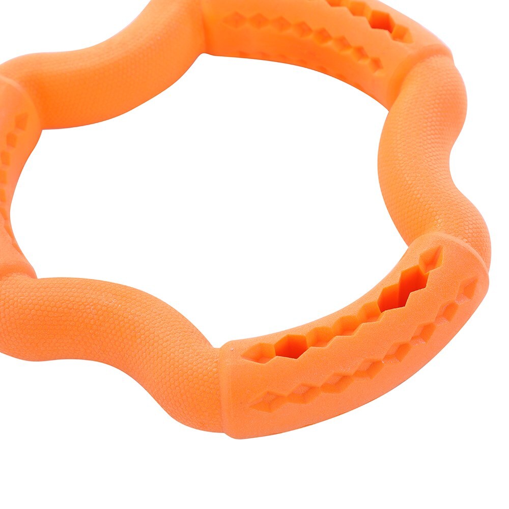19822-paws-claws-21x21x3-6cm-fetch-n-play-treat-ring-dog-pet-toy-assorted