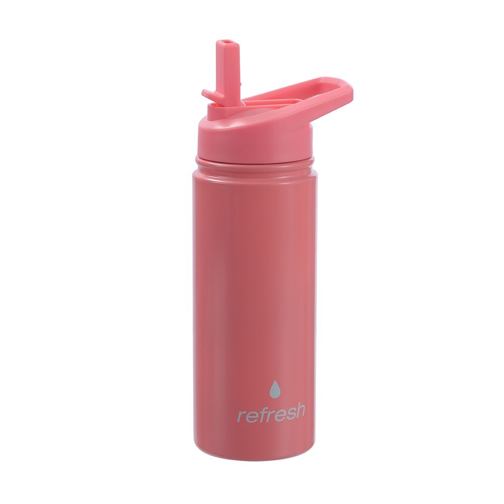 31138-lemon-lime-refresh-500ml-insulated-bottle-w-straw-assorted