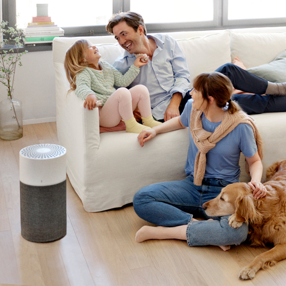3410-blueair-3410-air-purifier-w-carbon-particle-arctic-trail-prefilter