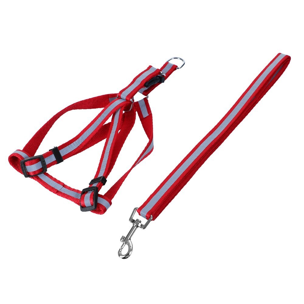 39601-paws-claws-120cm-reflective-lead-harness-set-assorted