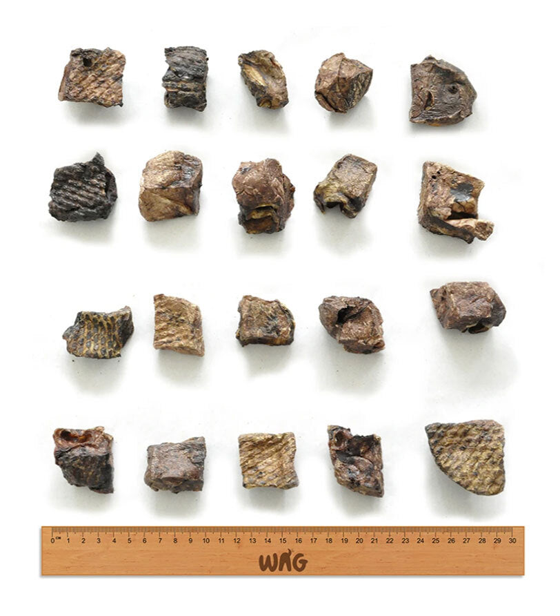 3997-wag-dog-treats-kangaroo-cubes-200g