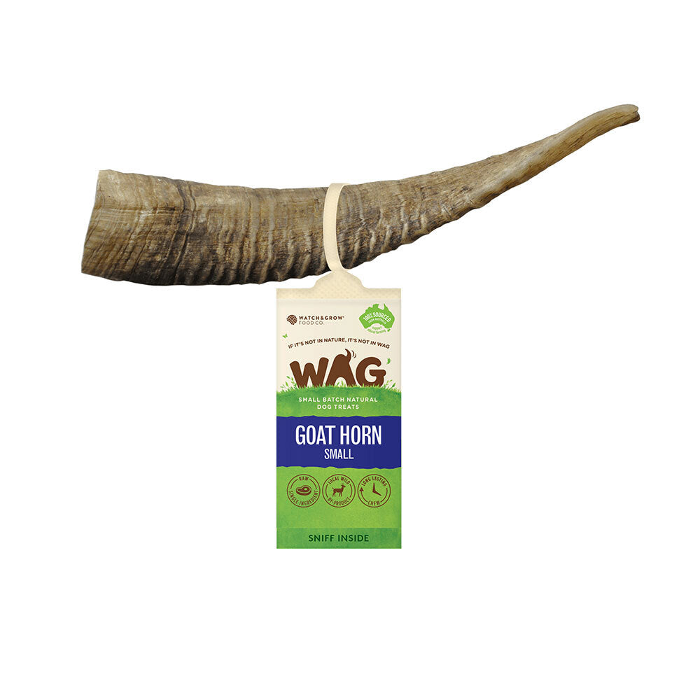 4222-wag-dog-treats-goat-horn-small
