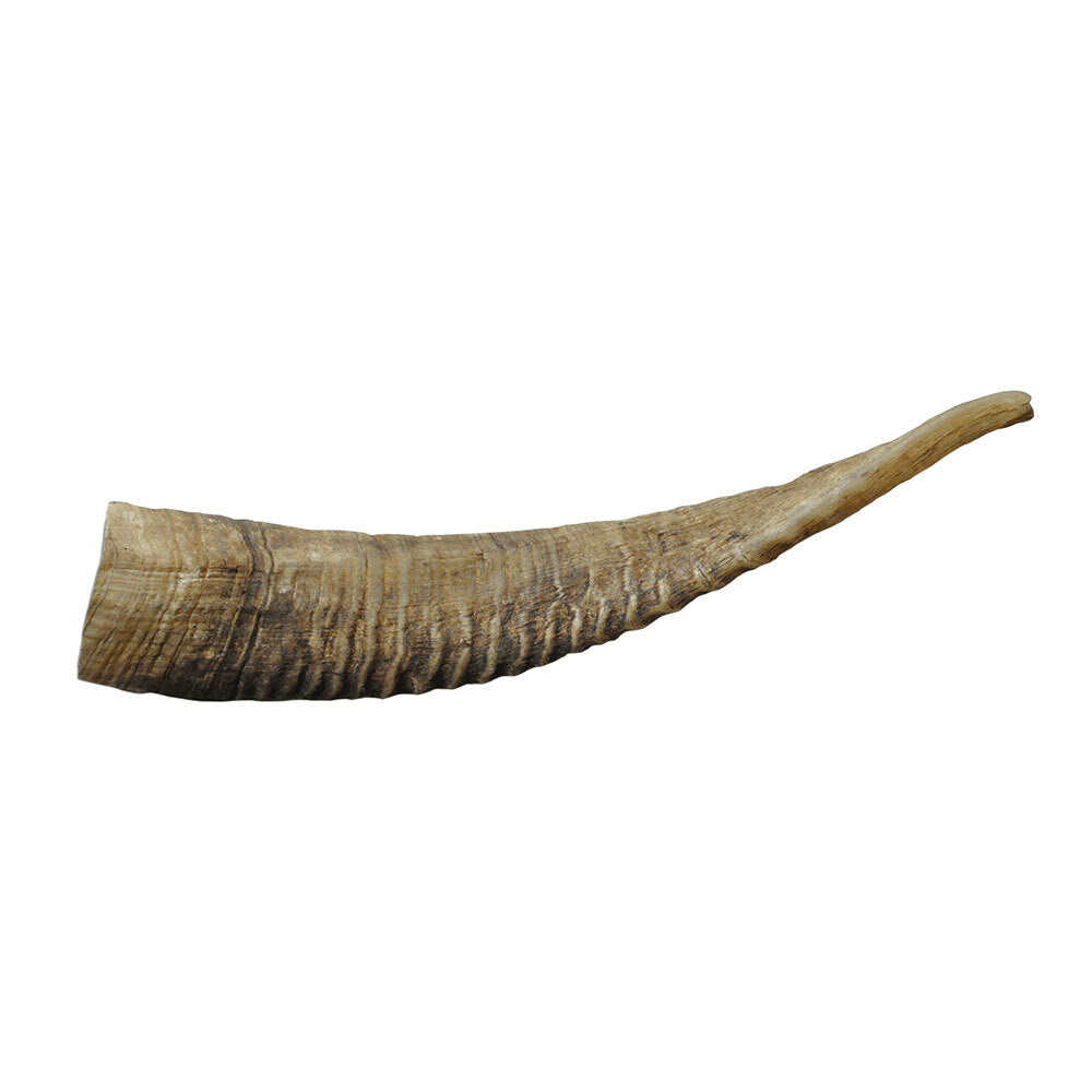 4222-wag-dog-treats-goat-horn-small