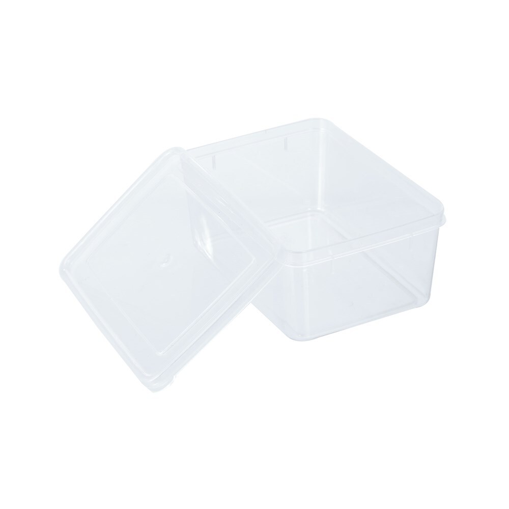 61060-keep-fresh-food-container-900ml-11-5x16x7cm