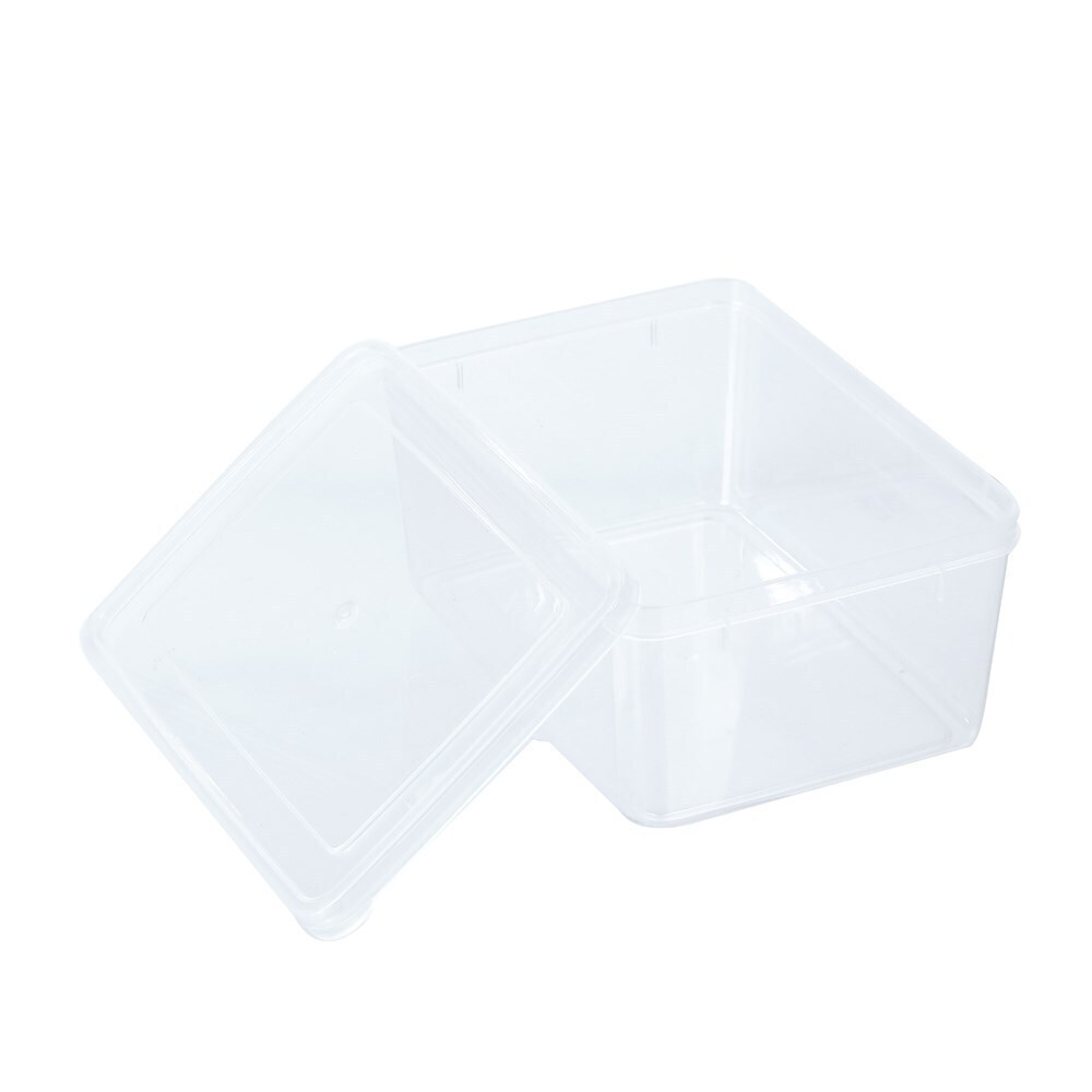 61077-lemon-lime-keep-fresh-food-container-1-5l-18x13x8cm