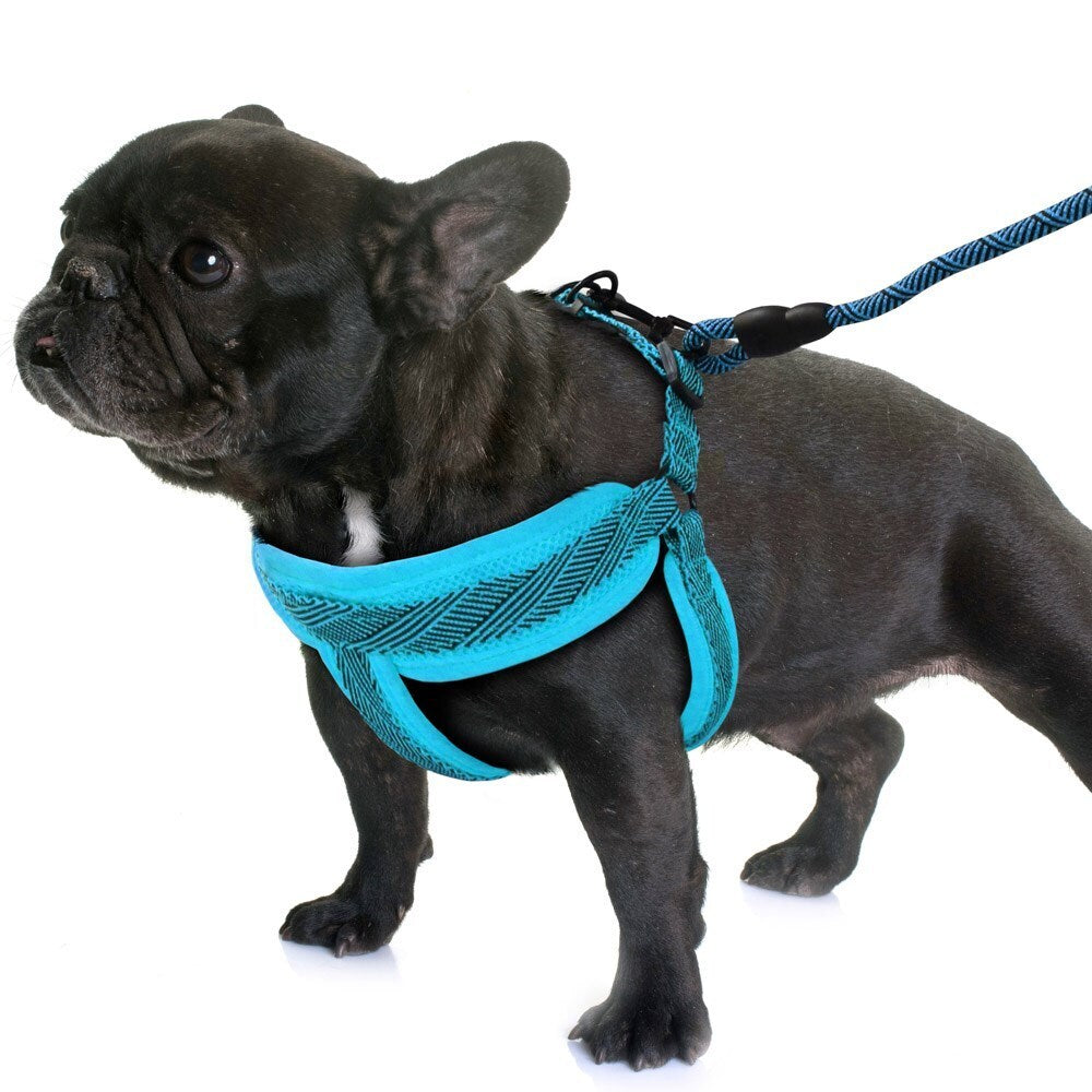 70338-paws-claws-mesh-lead-harness-1-5cmx120cm-42-60cm-small-assorted