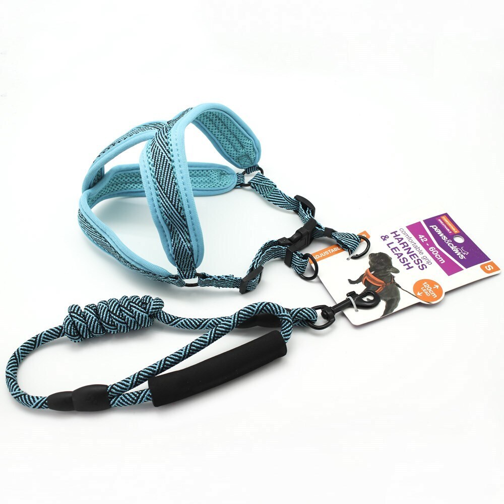 70338-paws-claws-mesh-lead-harness-1-5cmx120cm-42-60cm-small-assorted