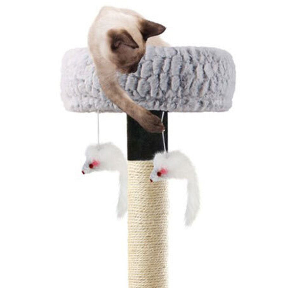 77634-paws-claws-catsby-scratching-post-with-ramp-double-lounger