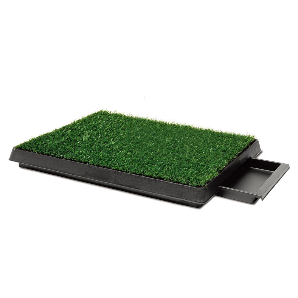 79003-paws-claws-indoor-training-pet-potty-grass