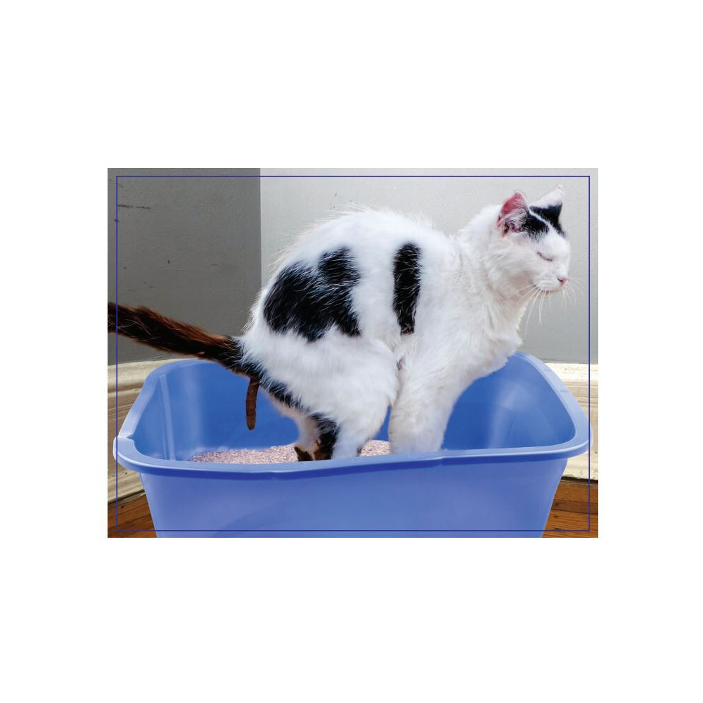 89045-300pc-wilder-games-doing-things-cats-prank-puzzle-kids-children-toys-14
