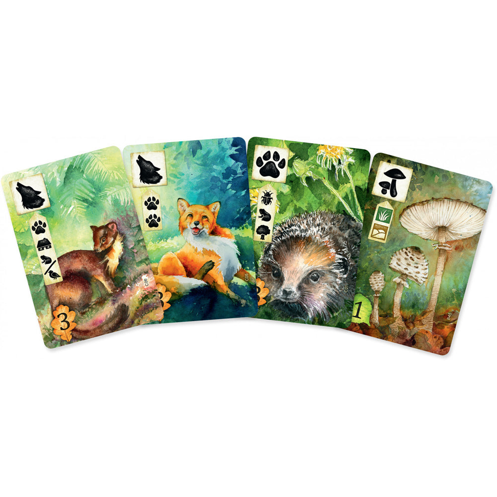 89243-rebel-meadow-party-board-game-fun-play-kids-adults-10y