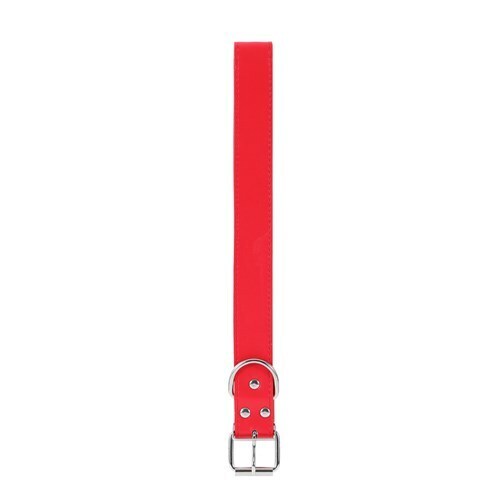 90664-paws-claws-premium-original-collar-3x60cm-assorted