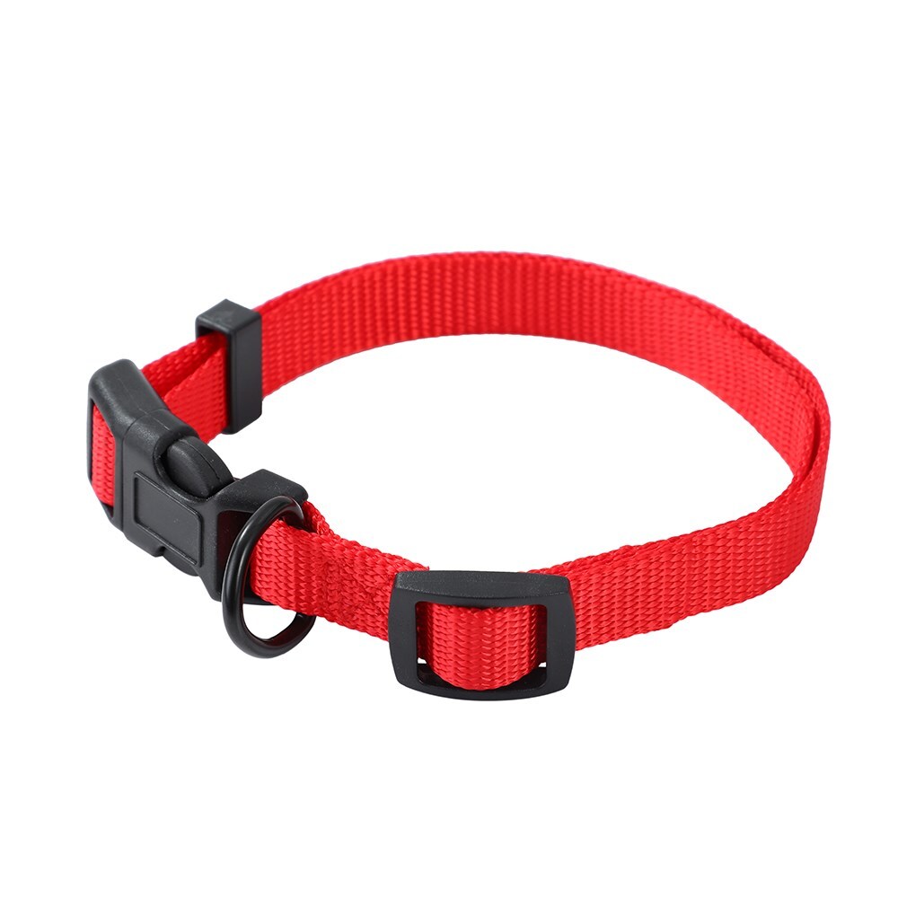 Paws & Claws Essentials Pet/Dog 30-45cm Collar Assorted