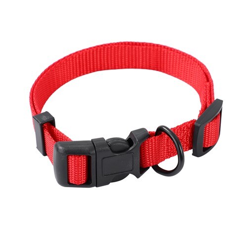 Paws & Claws Essentials Pet/Dog 30-45cm Collar Assorted