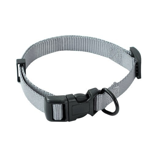 Paws & Claws Essentials Pet/Dog 30-45cm Collar Assorted