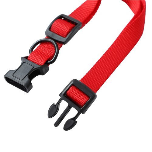 Paws & Claws Essentials Pet/Dog 30-45cm Collar Assorted