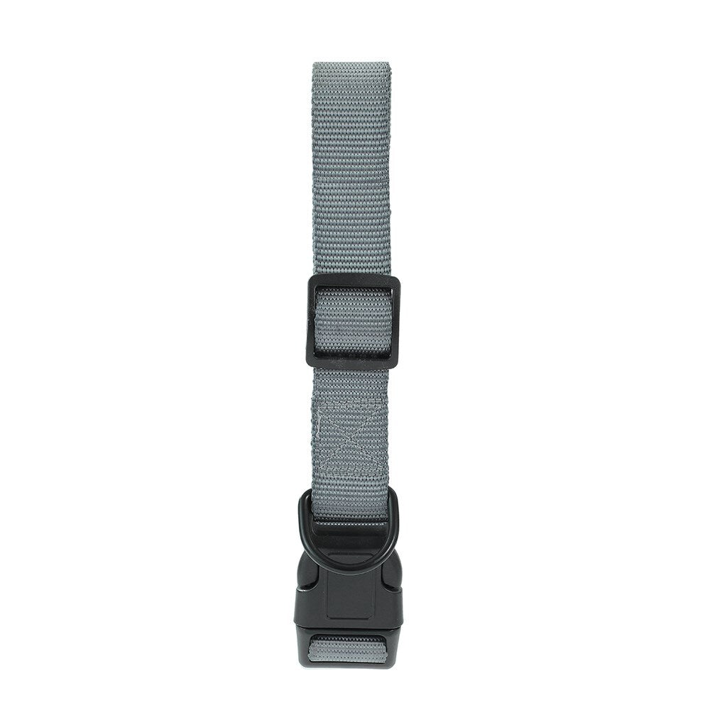 Paws & Claws Adjustable Dog Collar 46-65cmx2.5cm Large