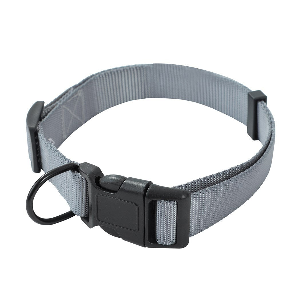 Paws & Claws Adjustable Dog Collar 46-65cmx2.5cm Large