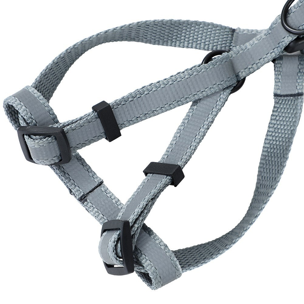 Paws & Claws Adjustable Pet Harness Assorted Small