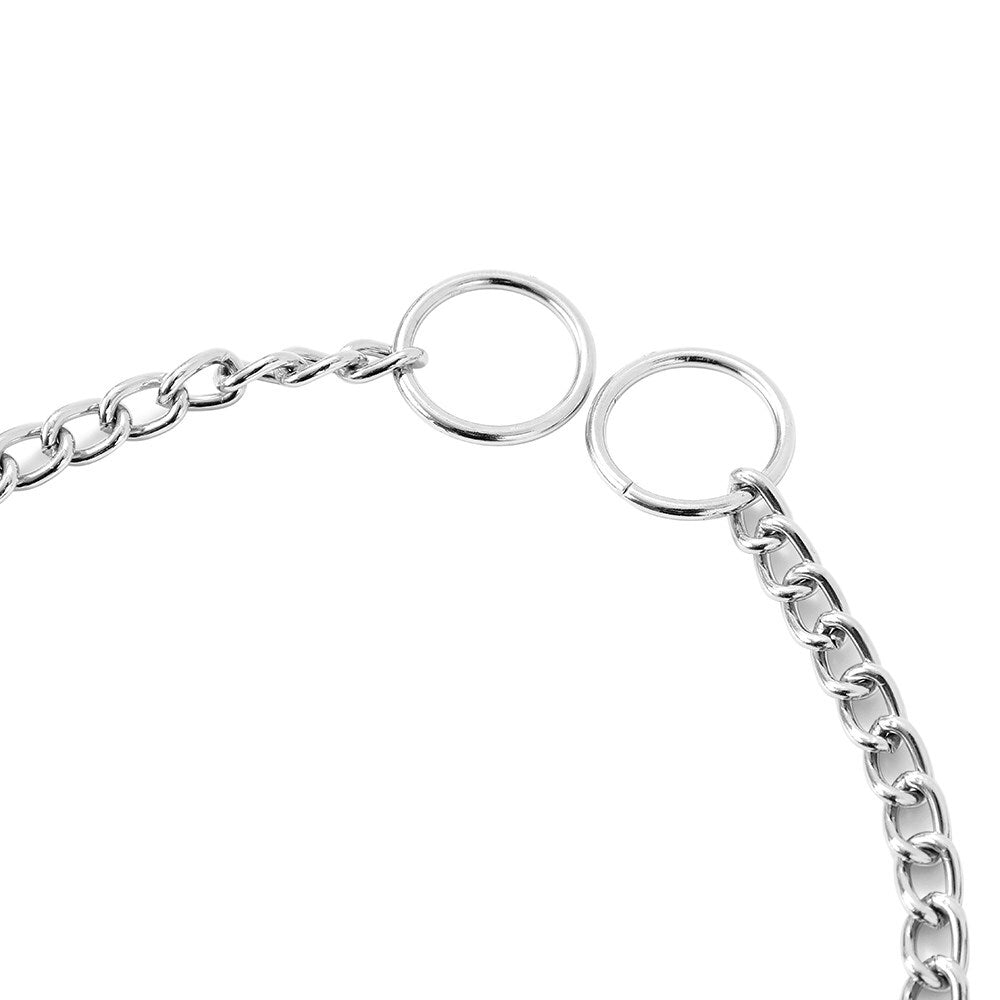 Paws & Claws 40cmx2mm Chain Collar Small - Silver