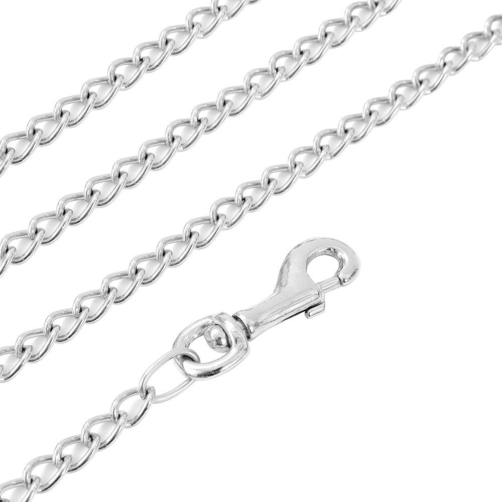 Paws & Claws Pet/Dog 120x2cm Chain Lead w/ Padded Handle - Assorted