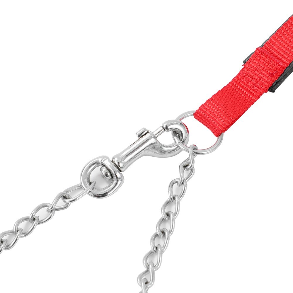 Paws & Claws Pet/Dog 120x2cm Chain Lead w/ Padded Handle - Assorted
