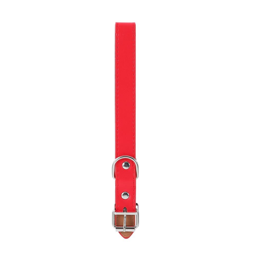 Paws & Claws Premium Original Collar 2X40cm 4 Asstd