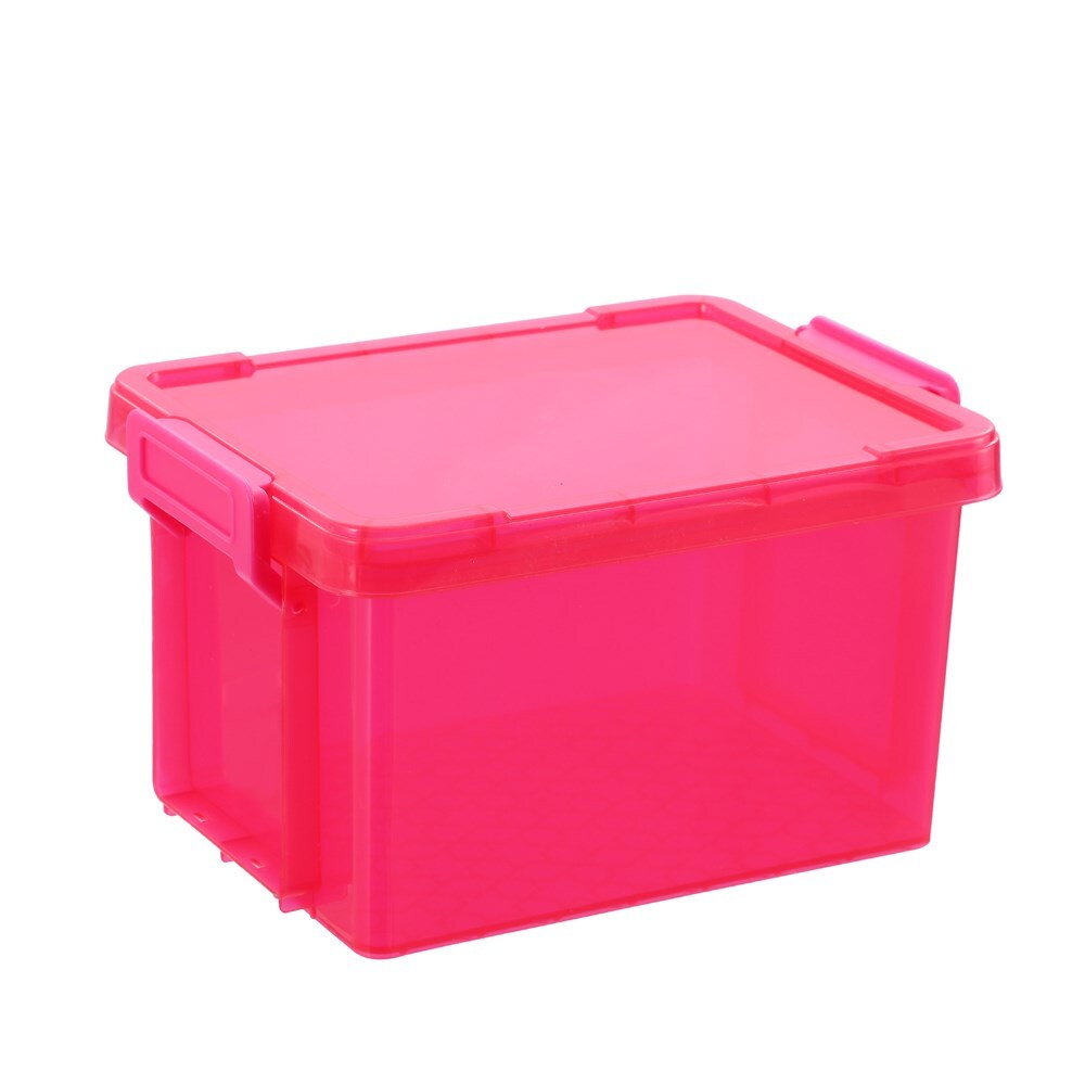 Boxsweden Mini Stacker Box 2.7L 24X18X14cm Pink