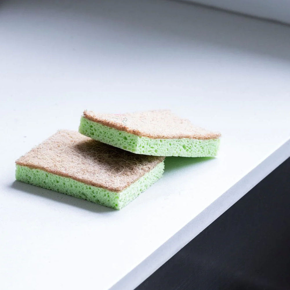 7228urb-2pc-eco-turtles-non-scratch-cellulose-kitchen-sponge