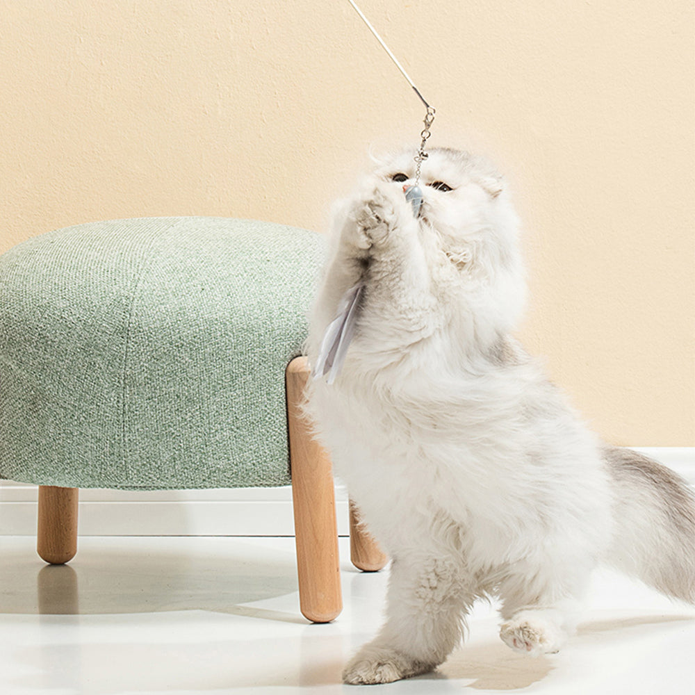 2019cat06-pakeway-pet-cat-teaser-w-laser-7-replacement-heads