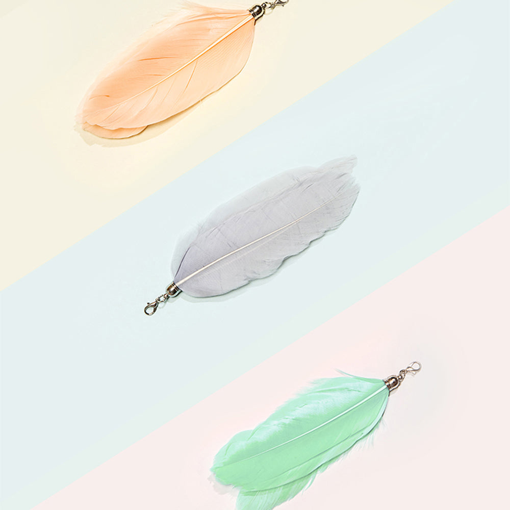 2019cat06-pakeway-pet-cat-teaser-w-laser-7-replacement-heads