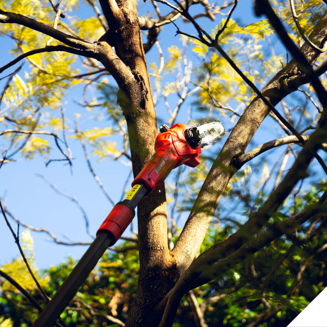 1697484-snapper-18v-cordless-chainsaw-hedge-trimmer-2-2m-long-reach-combo